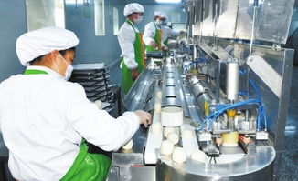 峰刚公司馒头生产线 息县 产业集聚做强食品工业