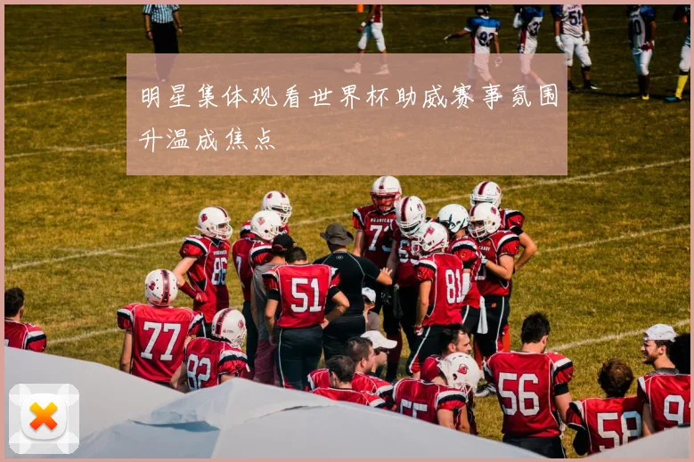 明星集体观看世界杯助威赛事氛围升温成焦点