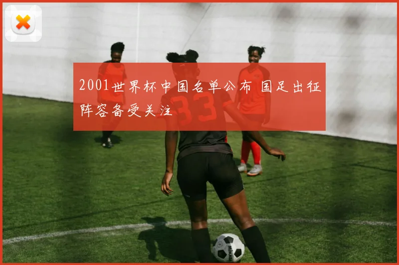2001世界杯中国名单公布 国足出征阵容备受关注