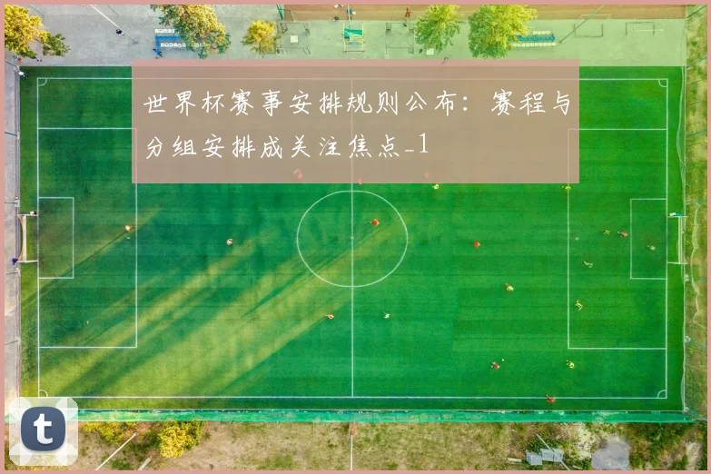 世界杯赛事安排规则公布：赛程与分组安排成关注焦点_1