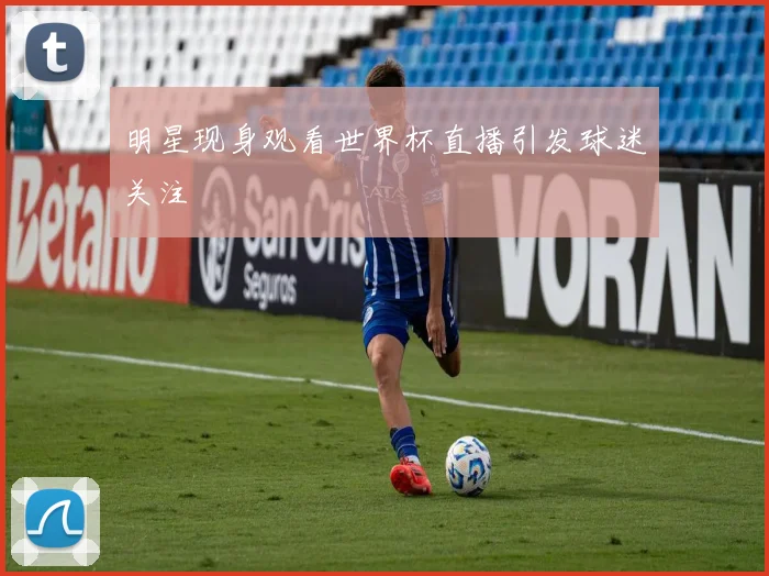 明星现身观看世界杯直播引发球迷关注