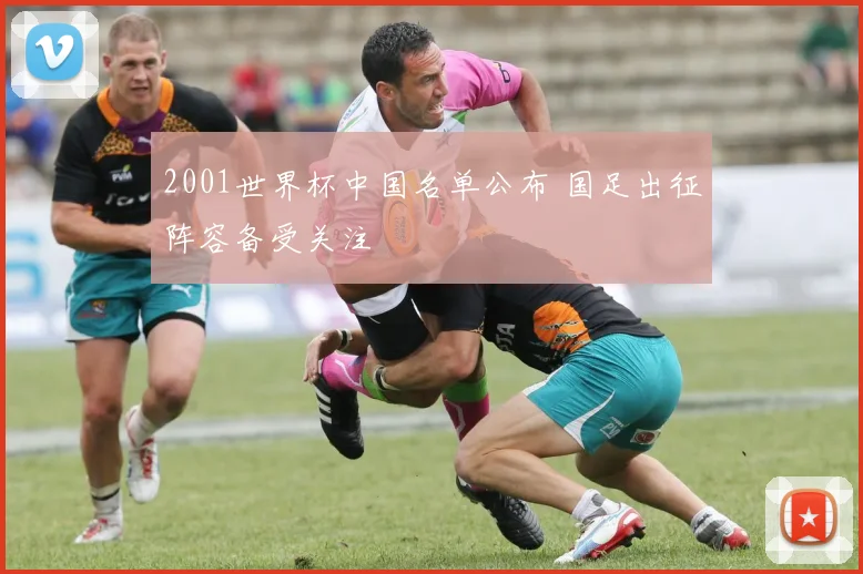 2001世界杯中国名单公布 国足出征阵容备受关注