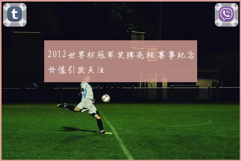 2012世界杯冠军奖牌亮相 赛事纪念价值引发关注