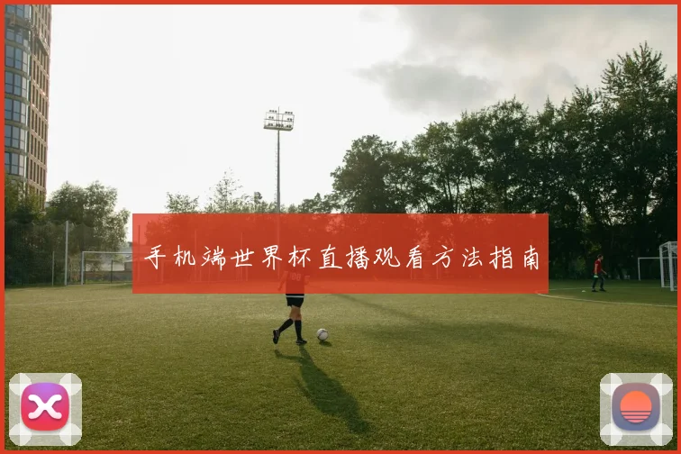手机端世界杯直播观看方法指南