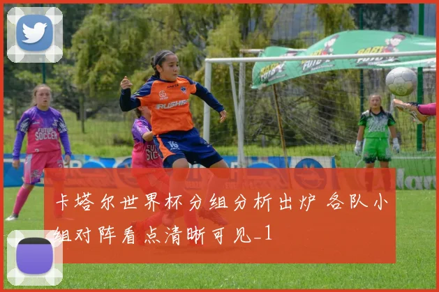 卡塔尔世界杯分组分析出炉 各队小组对阵看点清晰可见_1