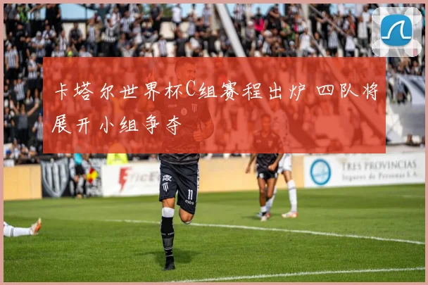 卡塔尔世界杯C组赛程出炉 四队将展开小组争夺
