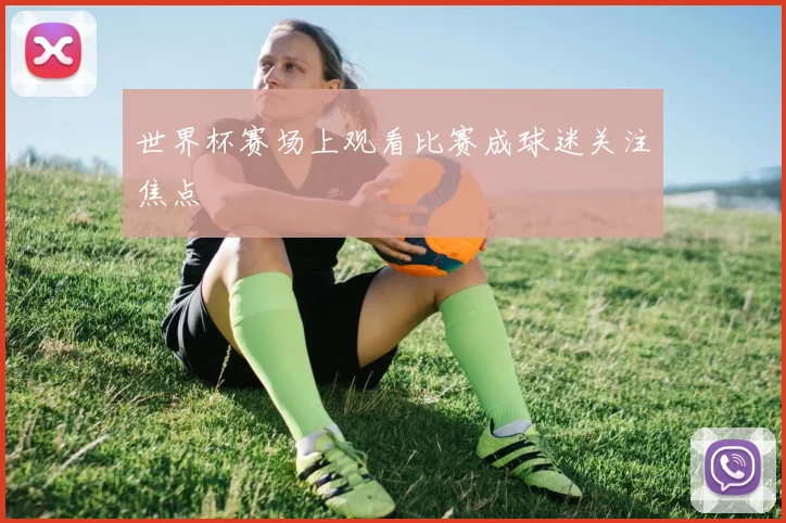 世界杯赛场上观看比赛成球迷关注焦点