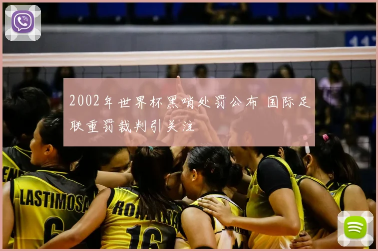2002年世界杯黑哨处罚公布 国际足联重罚裁判引关注