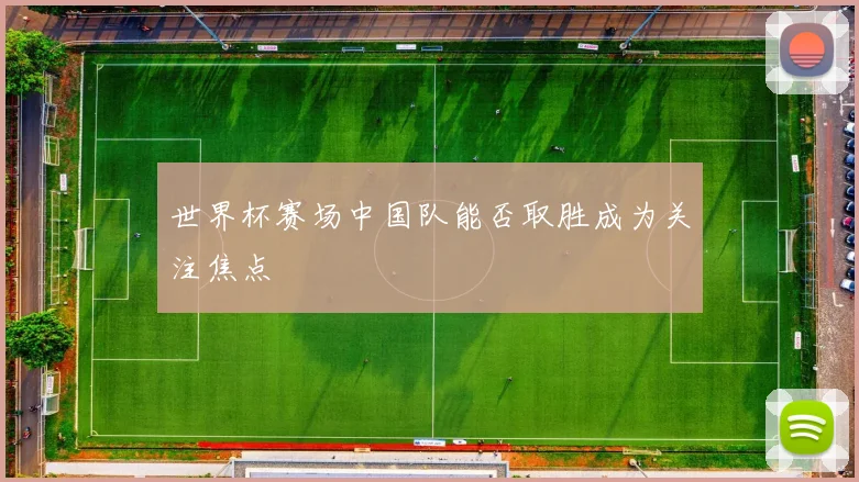 世界杯赛场中国队能否取胜成为关注焦点