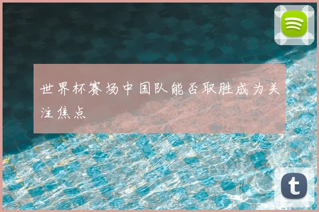 世界杯赛场中国队能否取胜成为关注焦点