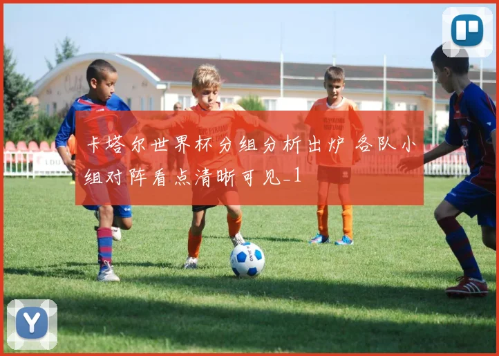 卡塔尔世界杯分组分析出炉 各队小组对阵看点清晰可见_1