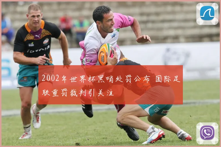 2002年世界杯黑哨处罚公布 国际足联重罚裁判引关注