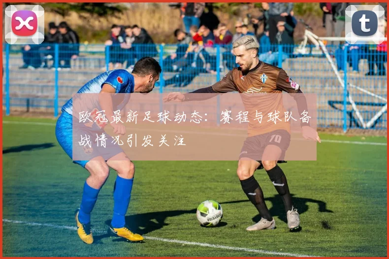 欧冠最新足球动态：赛程与球队备战情况引发关注